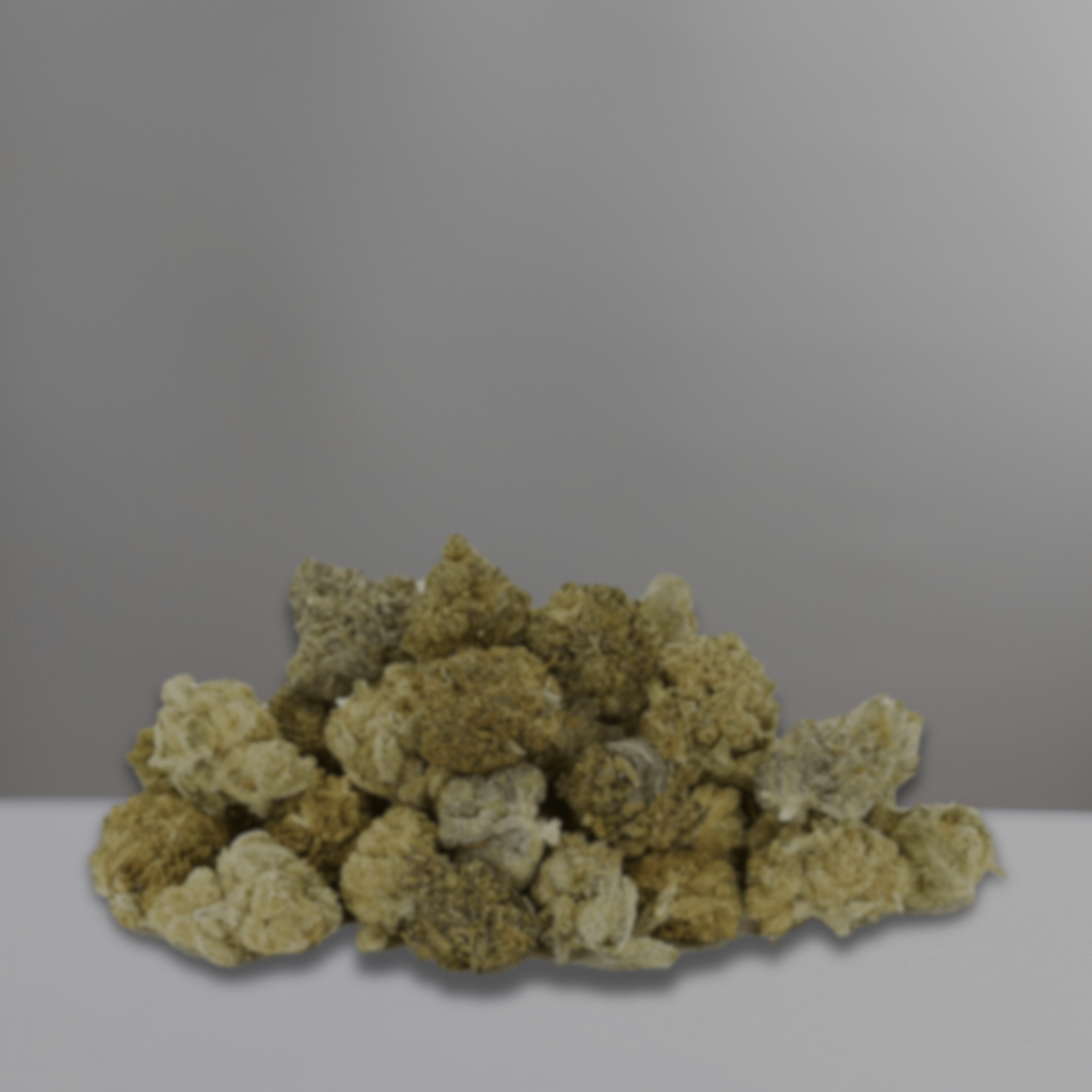 CBD Buds